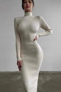 Semi-High Neck Slim Fitted Knit Sweater Dress