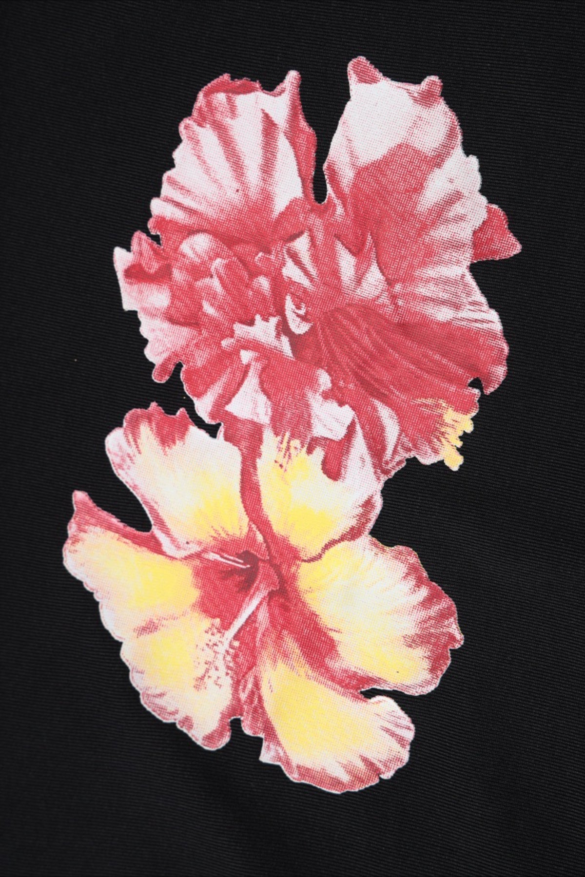 Off Shoulder Floral Print Crop T-Shirt