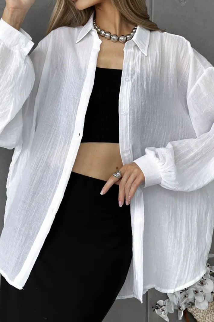 Solid Casual Long Sleeve Blouse
