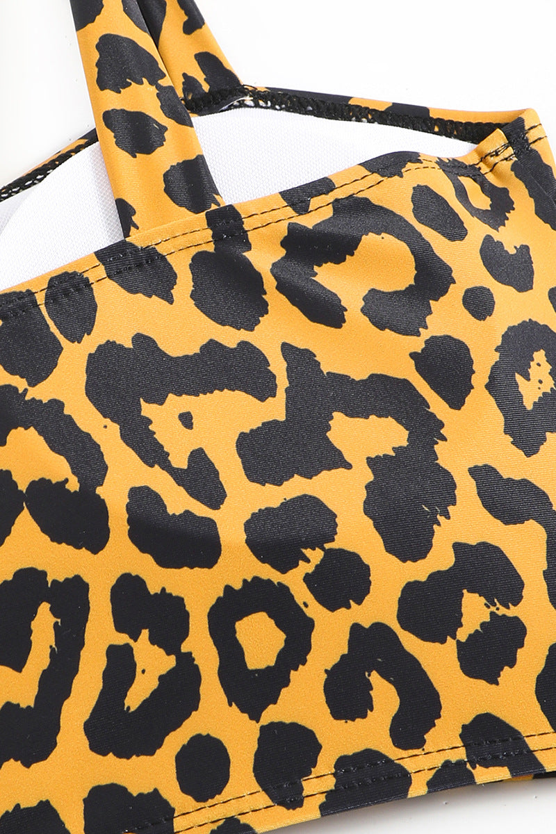 Animal Print Bikini Two Piece Swim Set