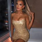 Glamorous Night Club Bodycon Glitter Party Dress