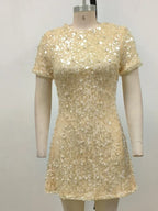 O Neck Short Sleeve Shiny Sequins Beaded Mini Elegant Party Dress