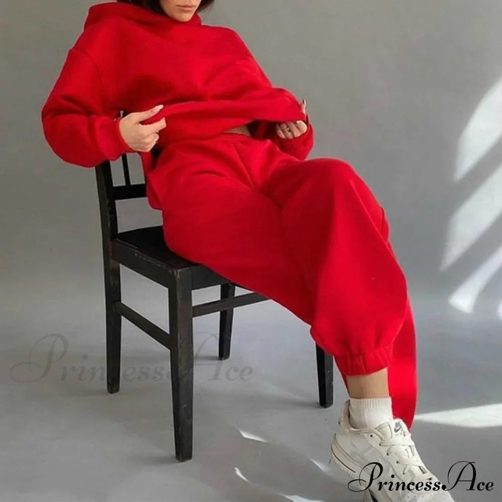 Elegant With Long Sweatshirt Set And Hoodie Lace-Up Warm Pant Solid Detail