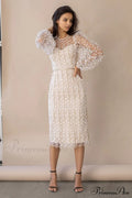 Embroidered Sheer Fitted Dress