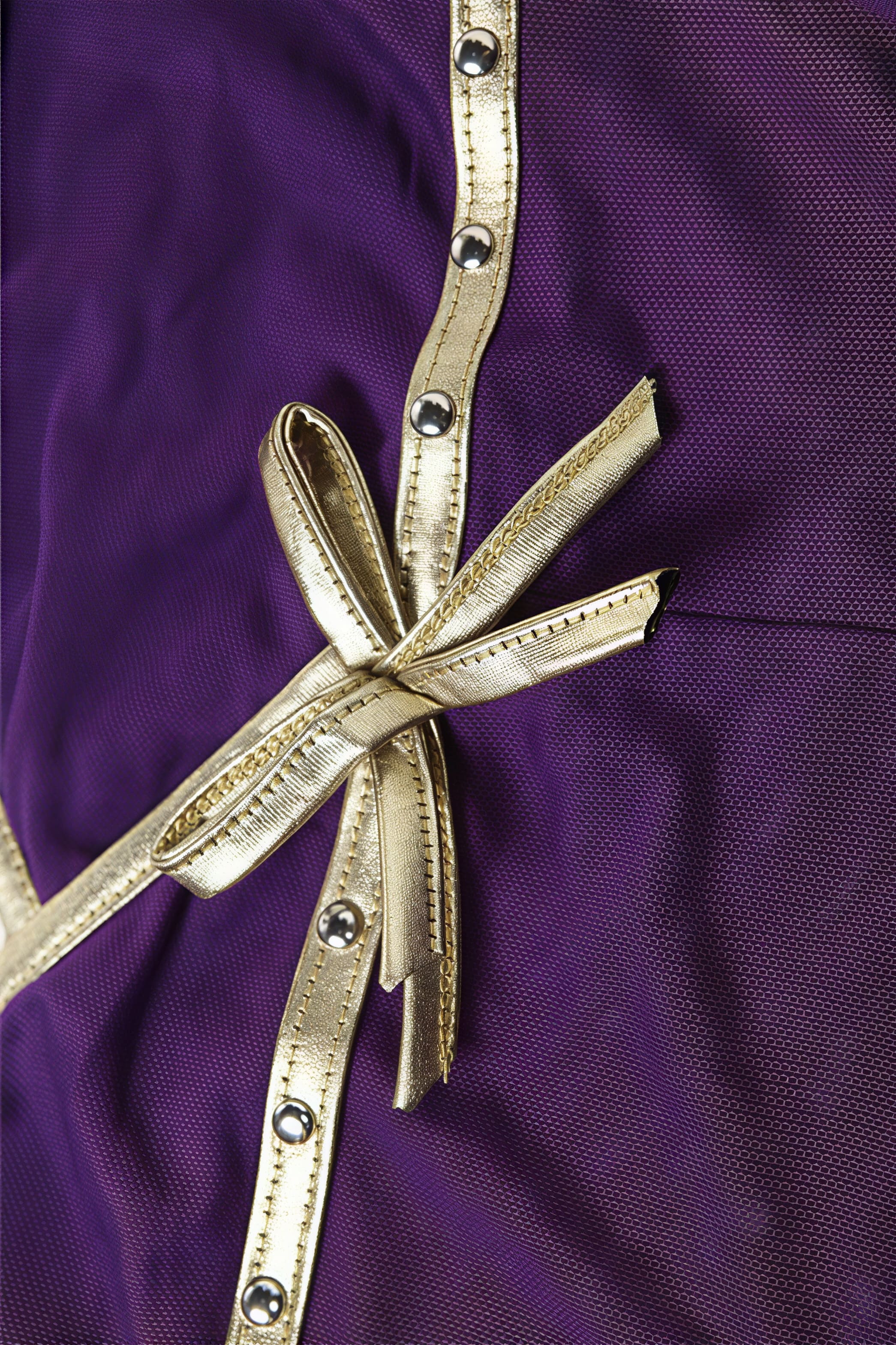 Solid Slim Stylish Sheer Bow Purple Cami Top