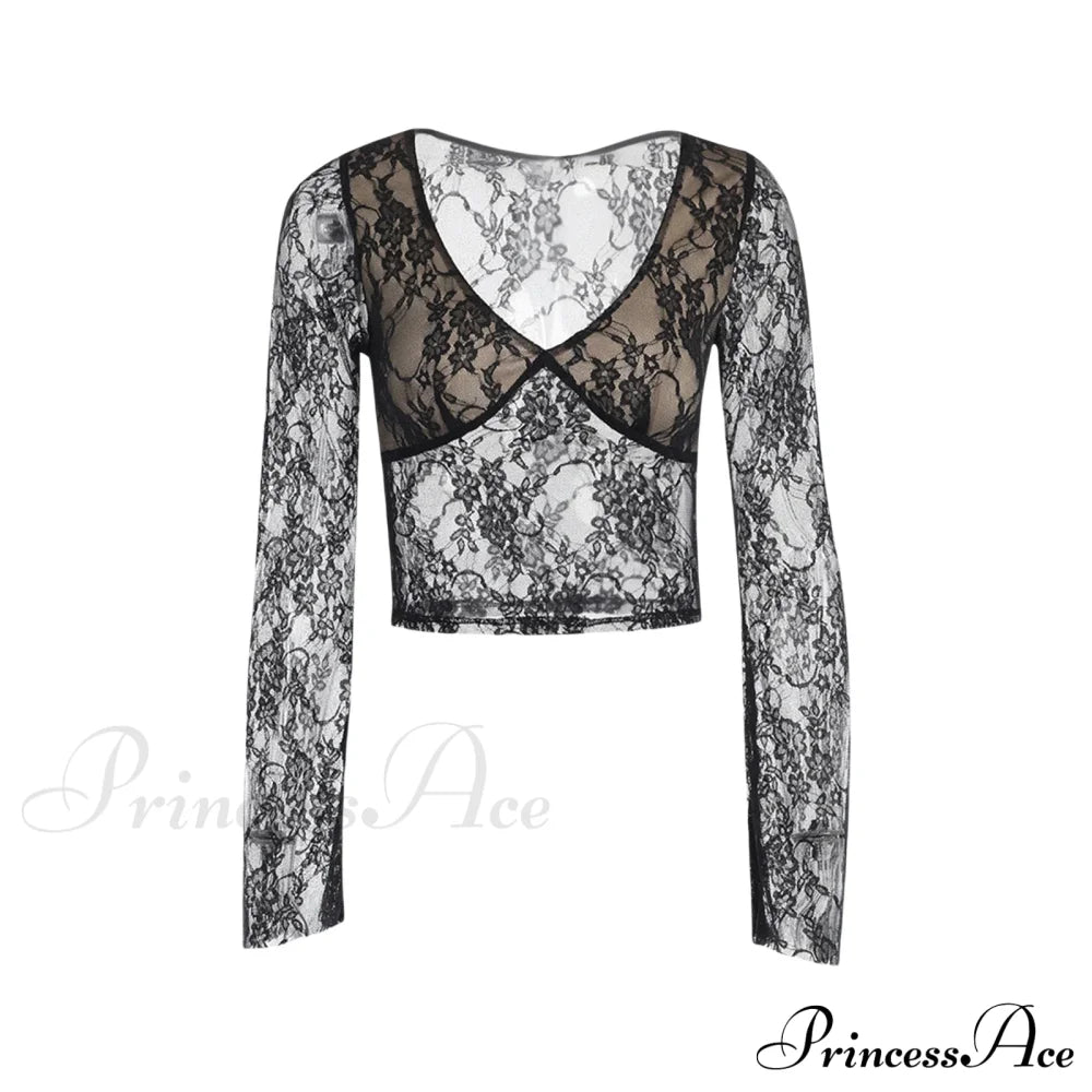 Lace Fairy Grunge V-Neck See-Through Slim Fit Stylish Elegant Trendy Classic Crop Top