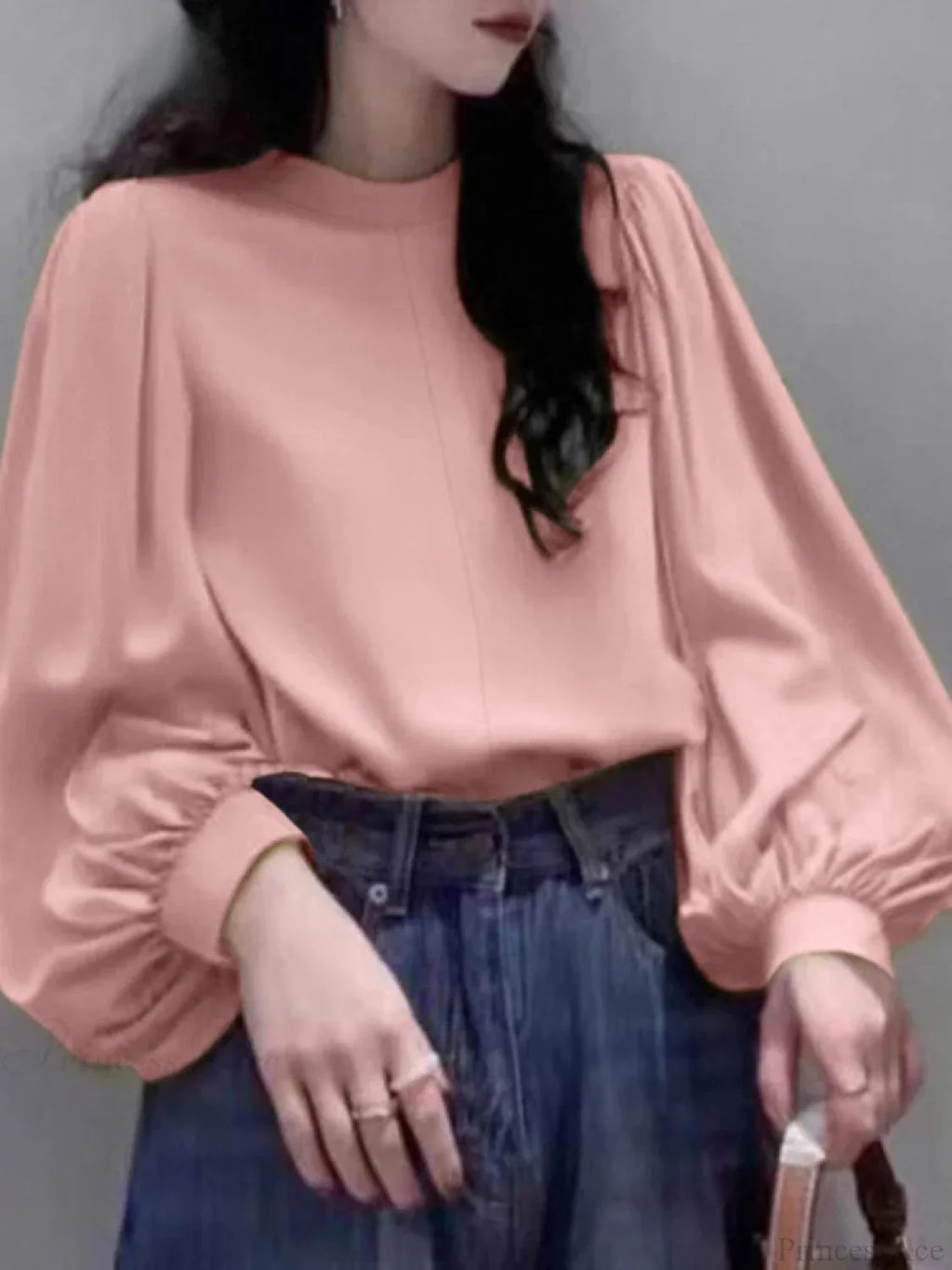 Mesh Lantern Sleeve Blouse Spring Tunic