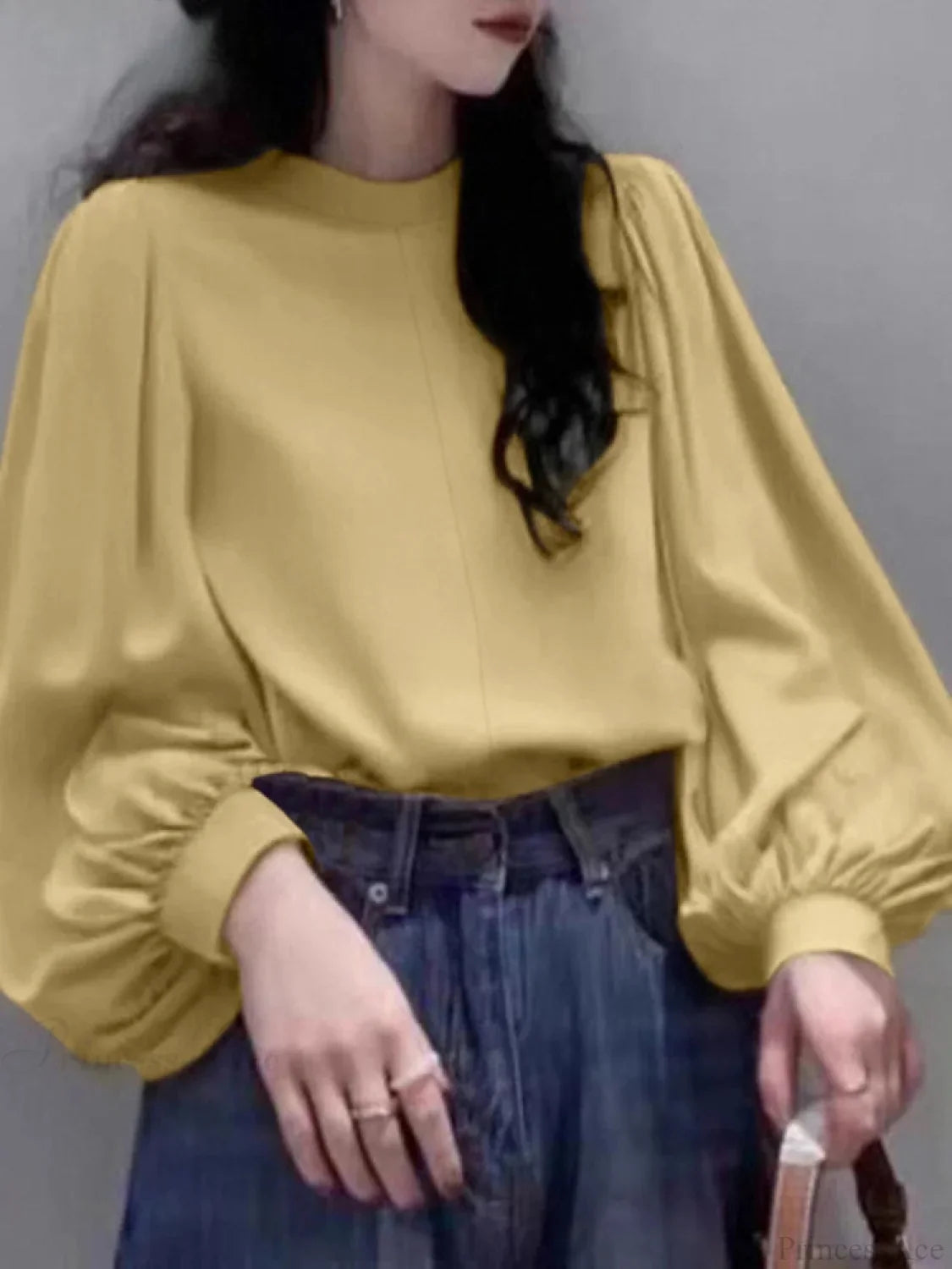 Mesh Lantern Sleeve Blouse Spring Tunic