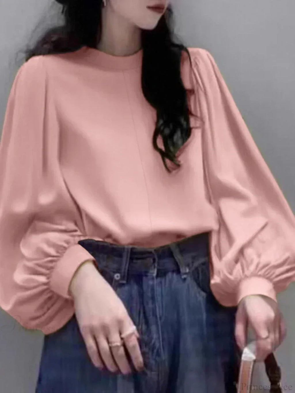 Mesh Lantern Sleeve Blouse Spring Tunic