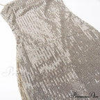 Sequin Mesh Stylish Long Dress