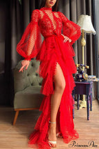 Sheer Mesh Long Sleeve Party Dress