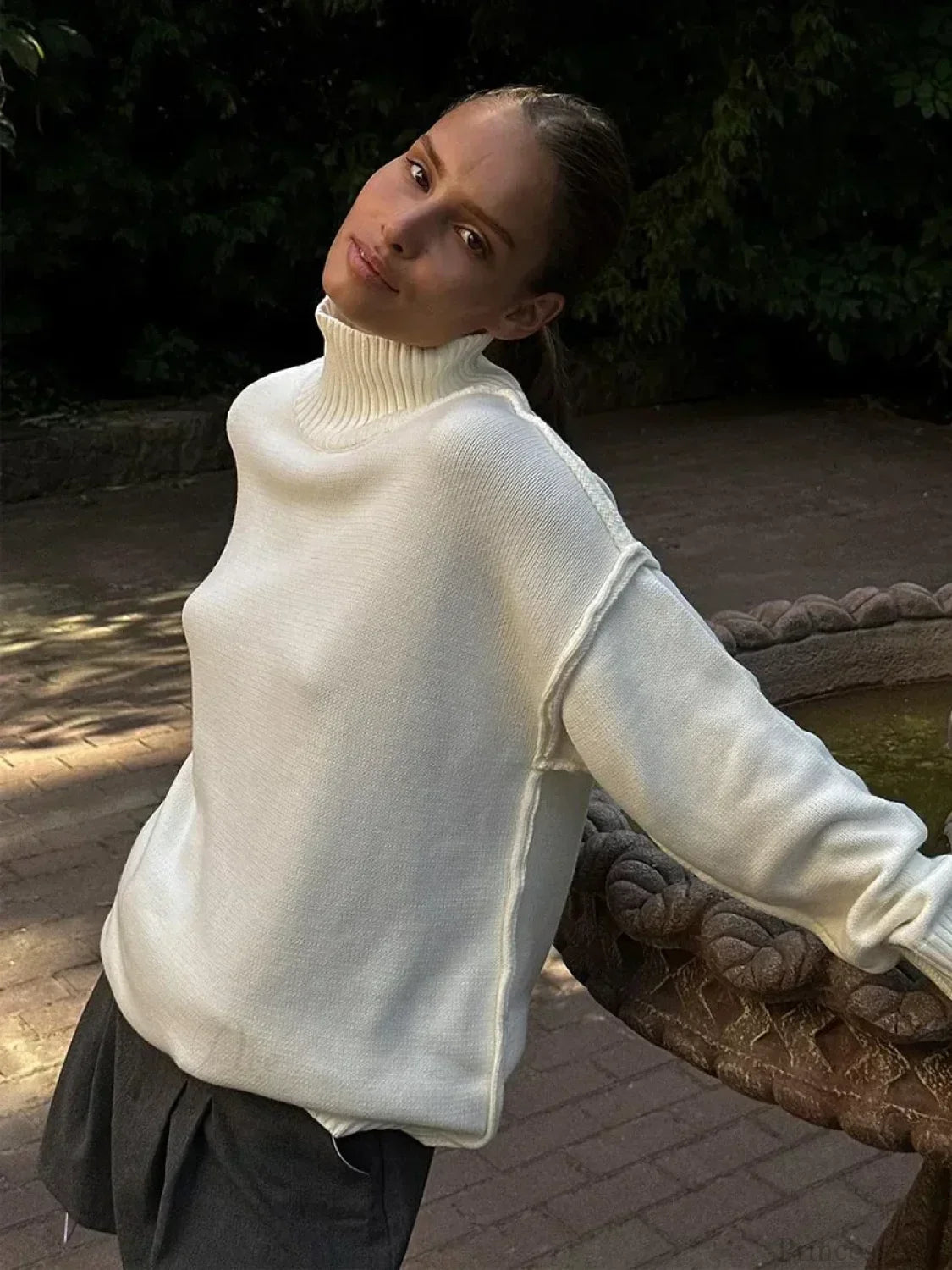 Solid Color Turtleneck Sweater